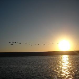 Meet your Posher, Alice